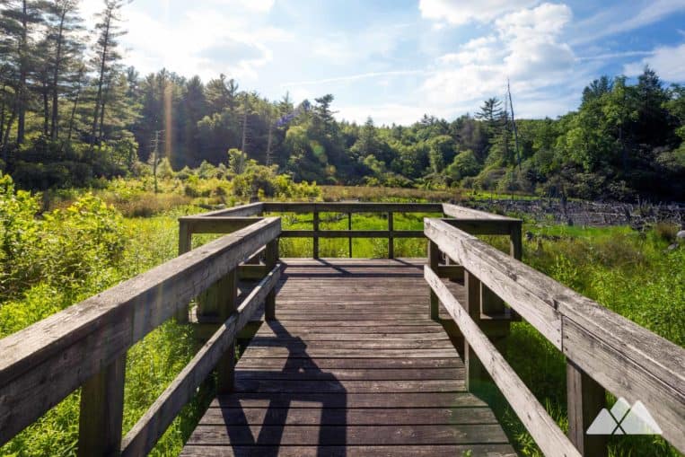 Boardwalk trail through Manitoba forest